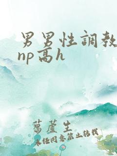 男男性调教小说np高h