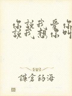 你说我爱你,你说我想你叫什么歌?