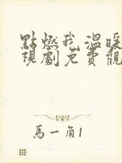 点燃我温暖你电视剧免费观看在线