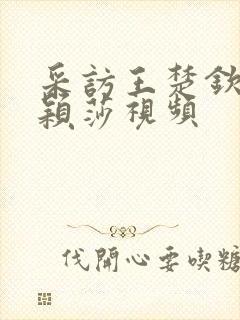 采访王楚钦和孙颖莎视频