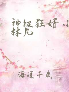 神级狂婿 小说林凡