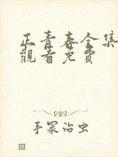 正青春全集在线观看免费