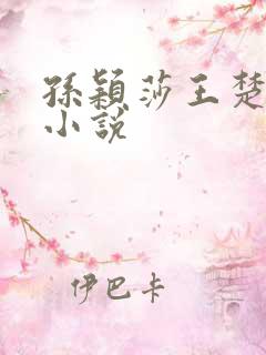 孙颖莎王楚钦的小说