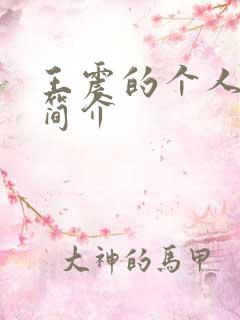 王震的个人资料简介