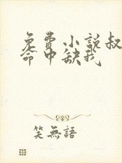 免费小说叔,你命中缺我