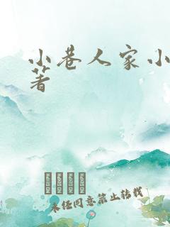 小巷人家小说原著