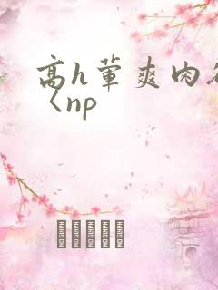 高h荤爽肉欲文〈np
