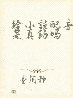 给小说配音赚钱是真的吗