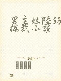 男主姓陆的霸道总裁小说