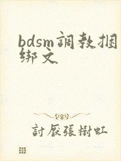 bdsm调教捆绑文