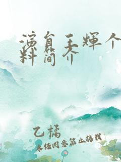 演员王辉个人资料简介