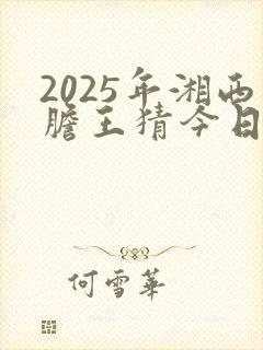 2025年湘西胆王猜今日3d字谜78