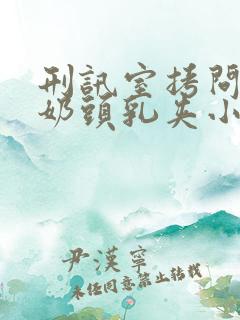 刑讯室拷问白嫩奶头乳夹小说