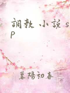 调教 小说 sp