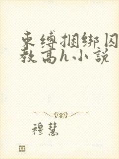 束缚捆绑囚禁调教高h小说