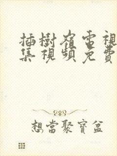 插树岭电视剧全集视频免费播放