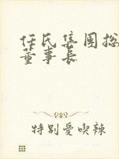 任氏集团总公司董事长