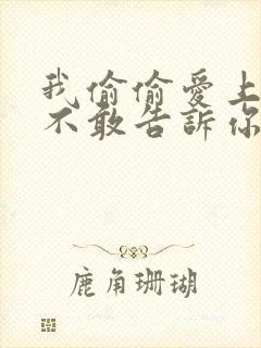 我偷偷爱上你却不敢告诉你是什么歌