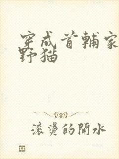 穿成首辅家的小野猫