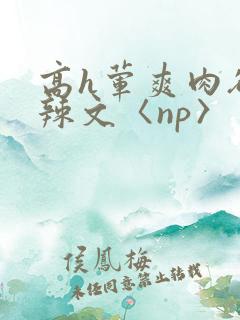 高h荤爽肉欲文辣文〈np〉