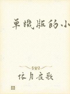 单机版的小游戏