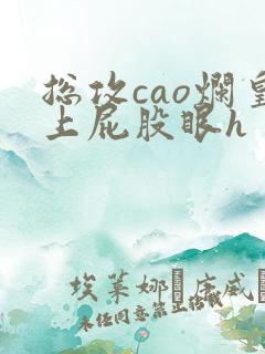 总攻cao烂皇上屁股眼h