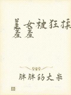 美女被狂揉大胸羞羞