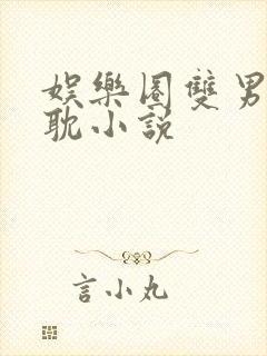 娱乐圈双男主原耽小说