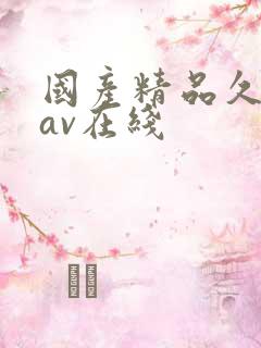 国产精品久久久av在线