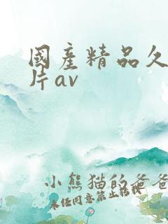 国产精品久久毛片av