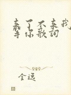 来了不来我都在等你歌词