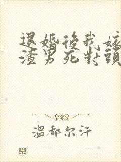 退婚后我嫁给了渣男死对头