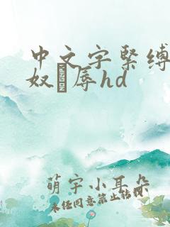 中文字紧缚调教奴隷辱hd