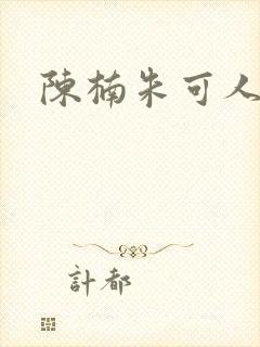 陈楠朱可人小说