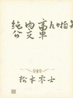 纯肉高h啪短文公交车