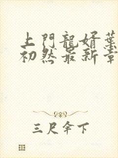 上门龙婿叶辰萧初然最新章节更新