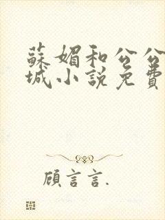 苏媚和公公赵春城小说免费阅读