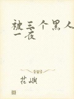 被三个黑人操了一夜