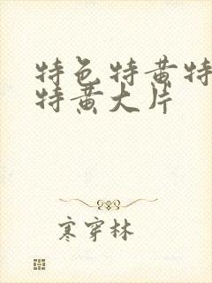 特色特黄特一级特黄大片