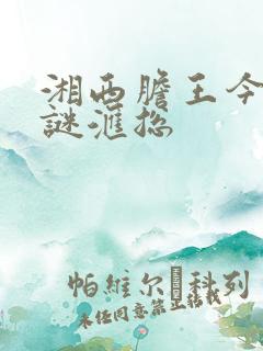 湘西胆王今日字谜汇总