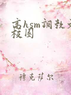 高hsm调教文校园