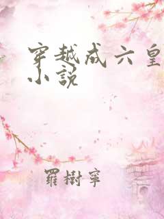 穿越成六皇子的小说