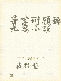 萧宴珩顾穗宁沈九思小说