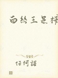 白丝玉足榨精