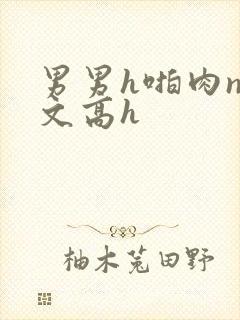 男男h啪肉np文高h