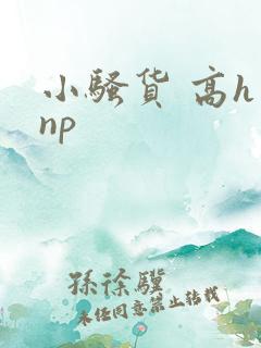 小骚货 高h np