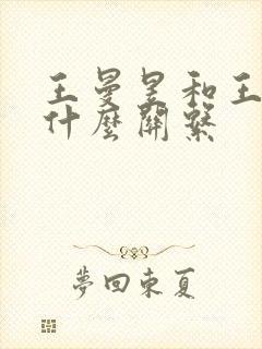 王曼昱和王楚钦什么关系