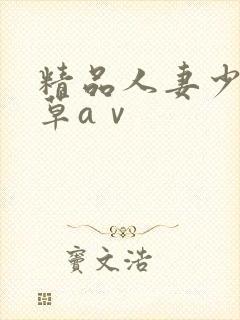 精品人妻少妇嫩草aⅴ