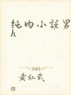 纯肉小说男男高h