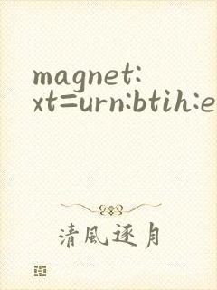 magnet:xt=urn:btih:e6ad